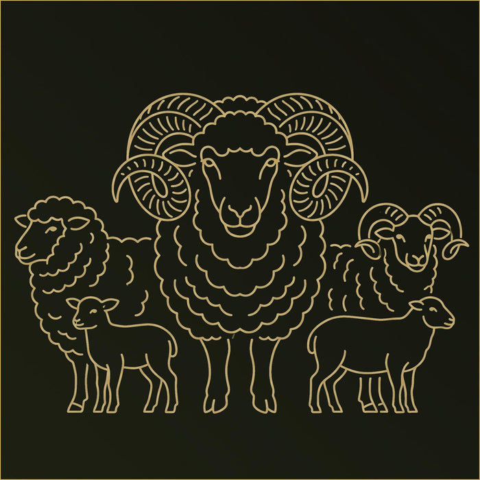 Sheep Canvas