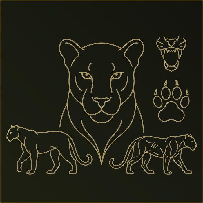 Panther Canvas