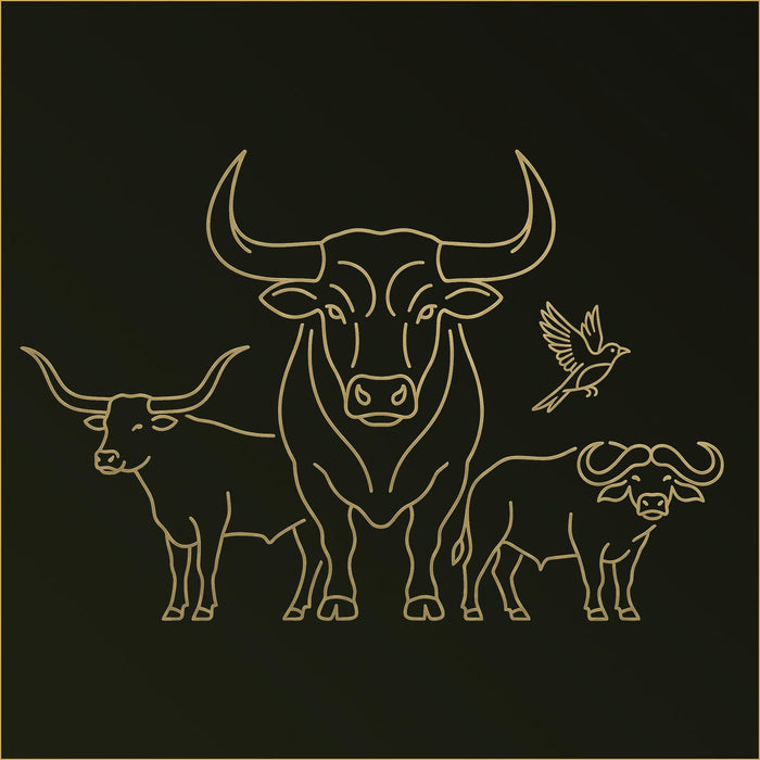 Bull Canvas
