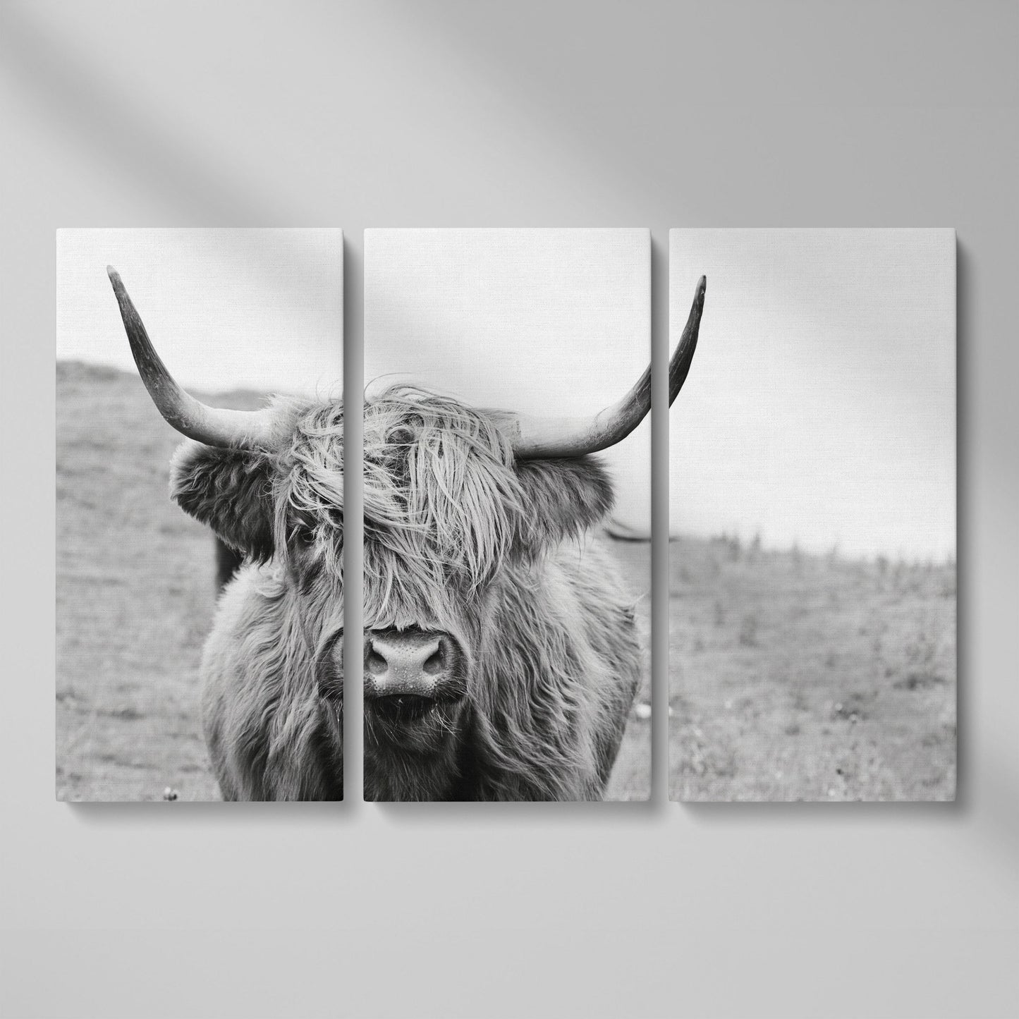 Highland Cow Canvas Wall Art, Shaggy Hairy Coo Close-Up Portrait as 3-panel split version