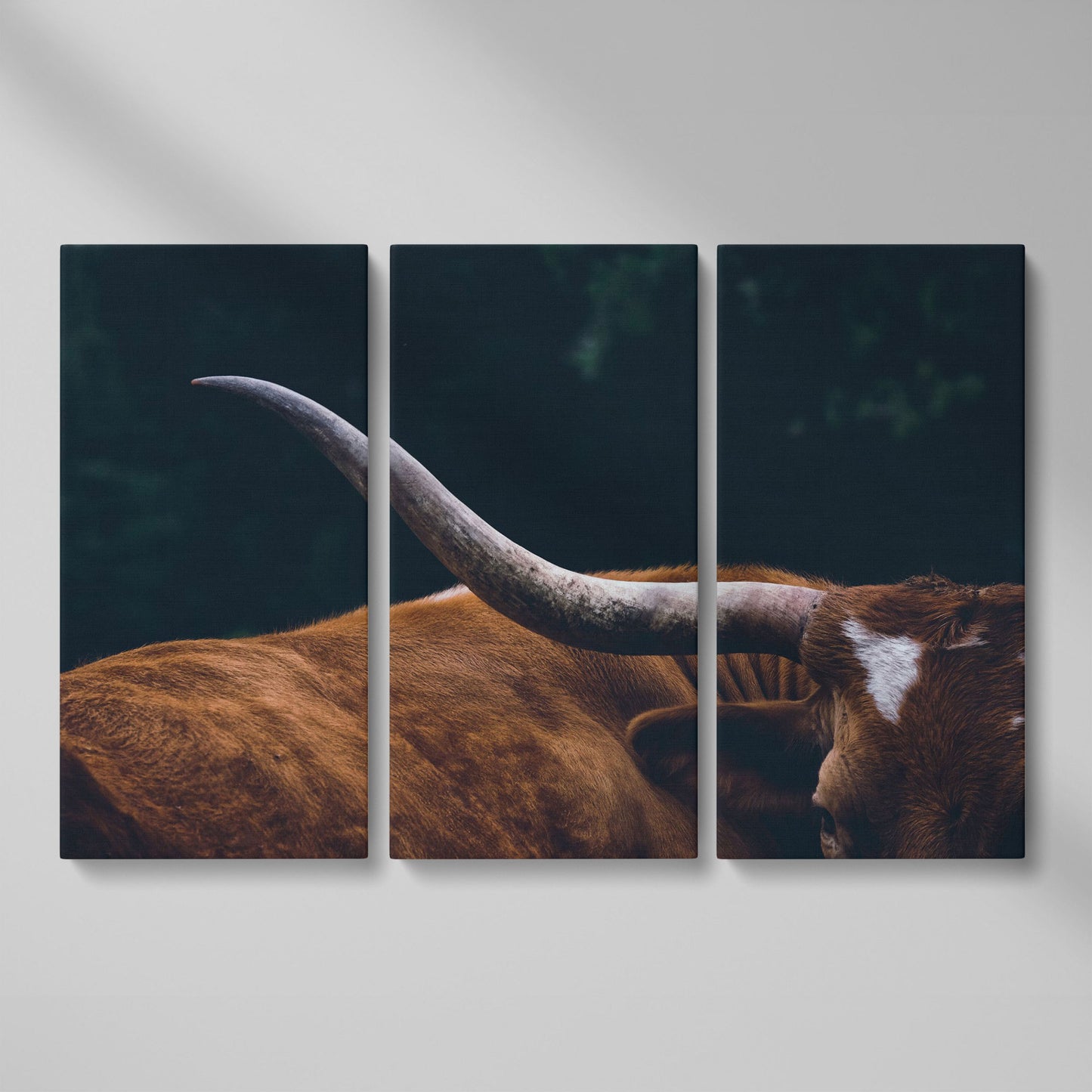 Texas Longhorn Close-Up Canvas Wall Art, Western Farmhouse Decor as 3-panel split version