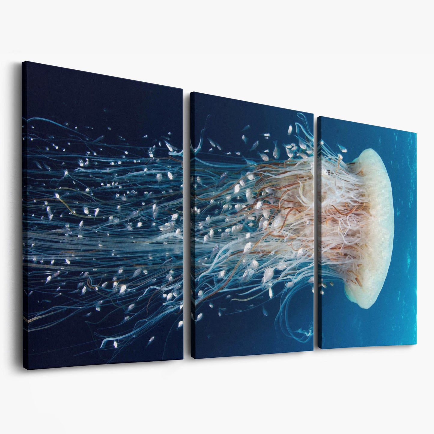 Deep Ocean Jellyfish and Fish Canvas Wall Art as 3-panel split version