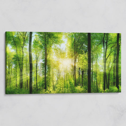 Sunlight Through the Forest Canopy Canvas Wall Art on gallery wrap