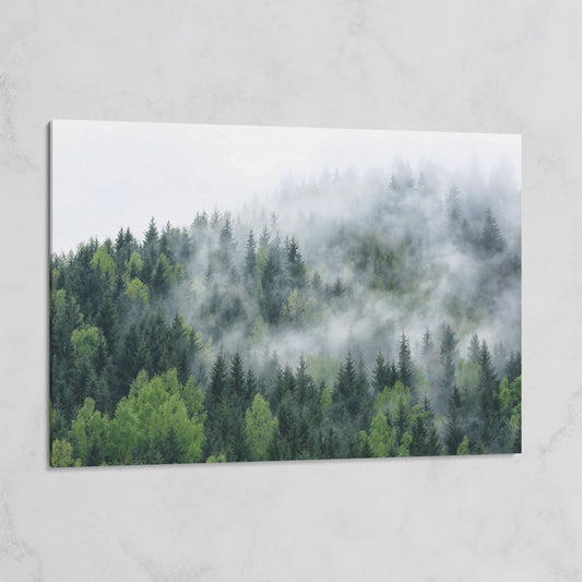 Misty Pine Forest Canvas Wall Art, Foggy Landscape Print on gallery wrap