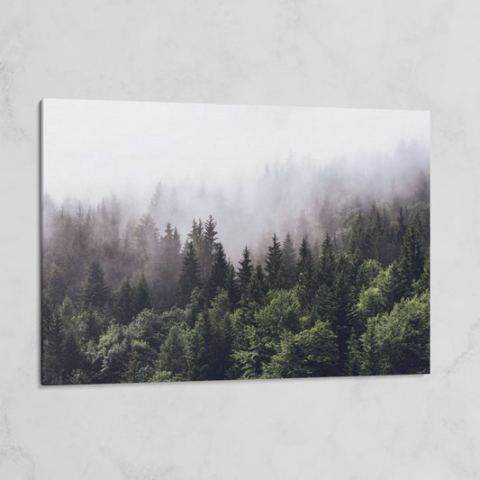 Foggy Pine Forest Canvas Wall Art, Misty Woodland Landscape on gallery wrap