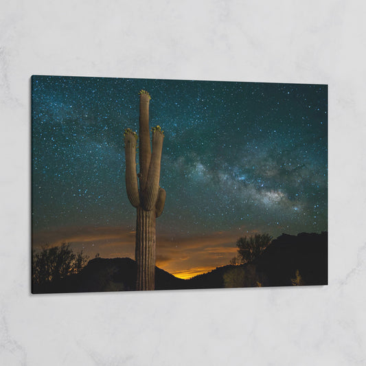 Saguaro and the Milky Way: Desert Night Sky Canvas Art on gallery wrap