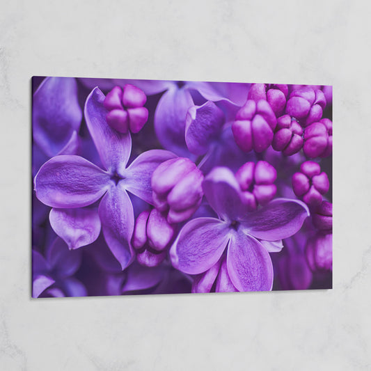 Lilac Blooms Close-Up Canvas Wall Art, Floral Landscape Print on gallery wrap