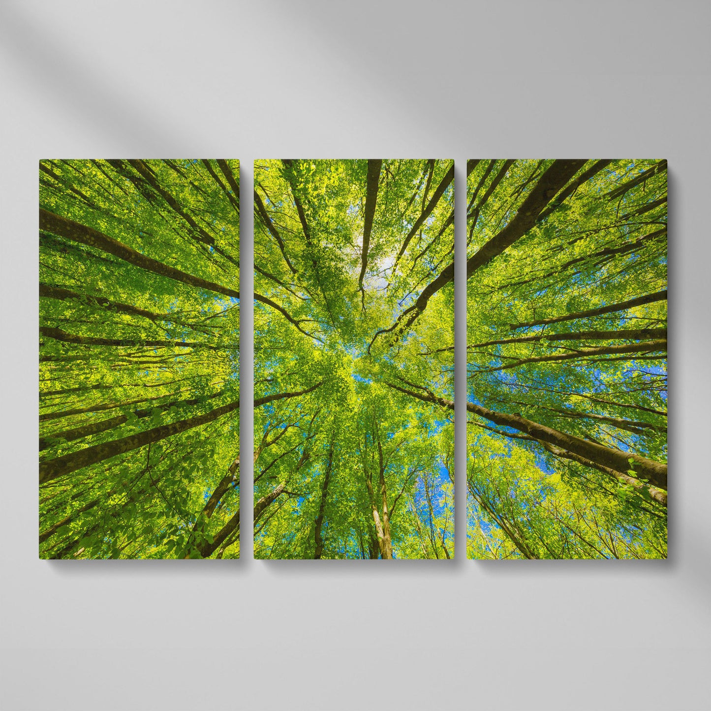 Looking Up Through a Forest Canopy Canvas Wall Art as 3-panel split version
