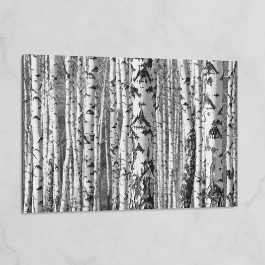 Birch Grove Canvas Wall Art: Bark and Trunk Detail on gallery wrap