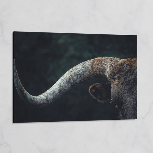 Bull Close-Up Canvas Wall Art, Rustic Farmhouse and Western Decor on gallery wrap