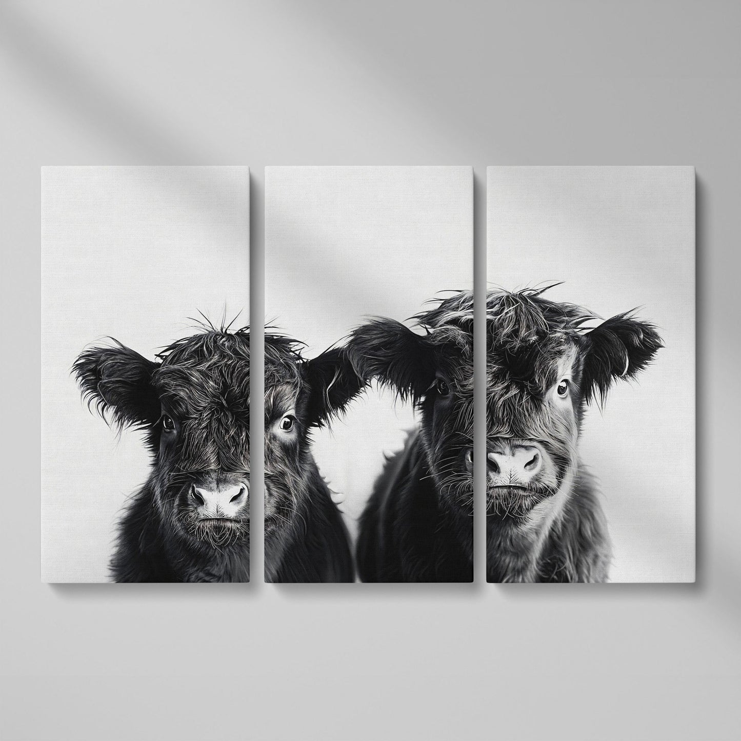 Two Highland Calves Face-On, Black and White Canvas Art as 3-panel split version