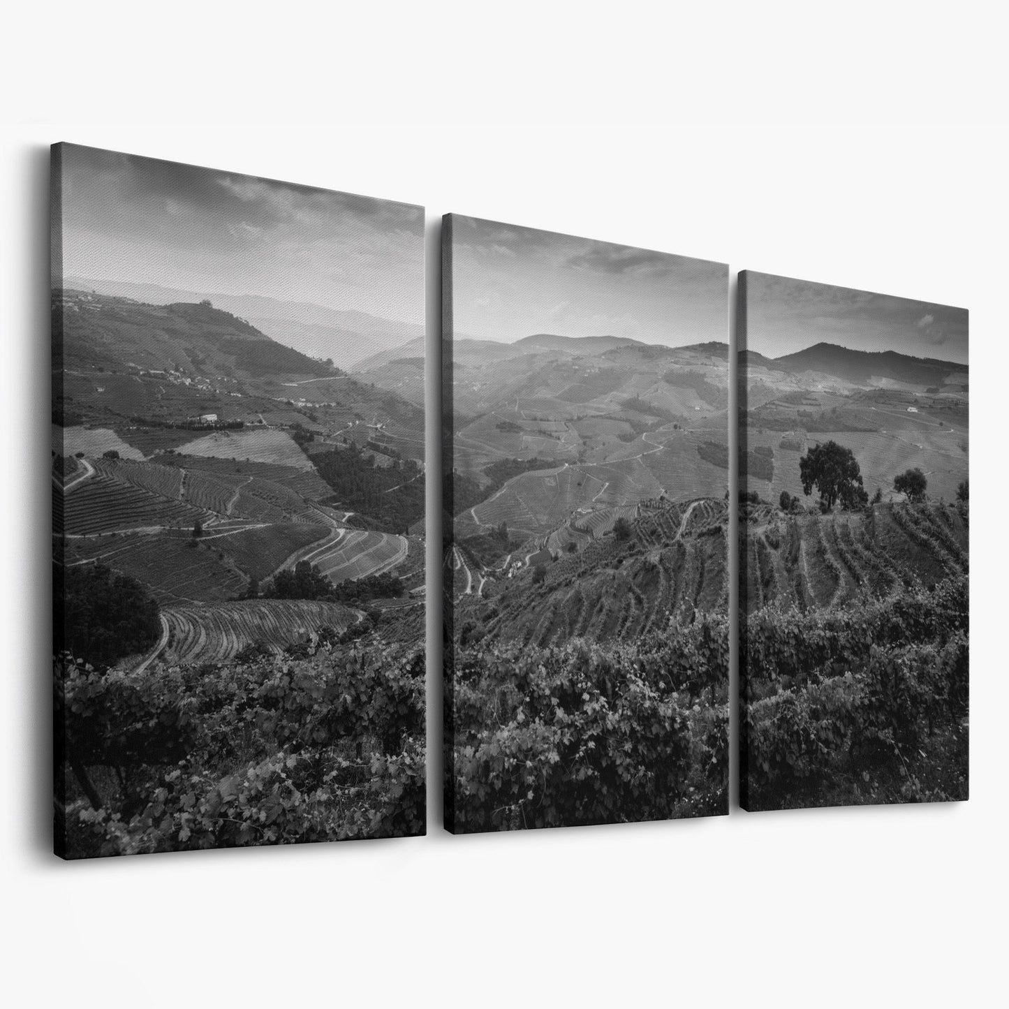 Douro Valley Vineyard Landscape Canvas as 3-panel split version