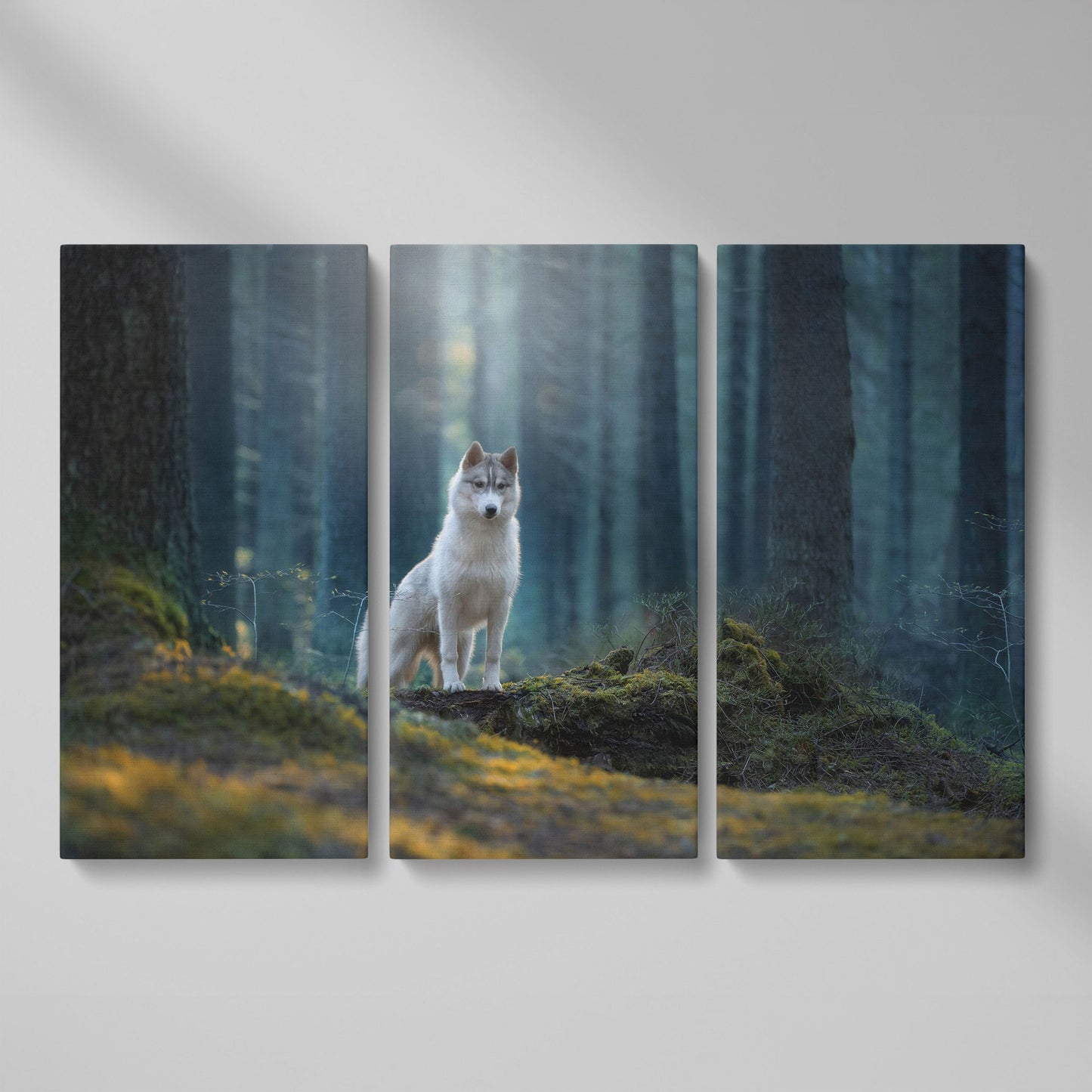Siberian Husky in Winter Forest Canvas as 3-panel split version
