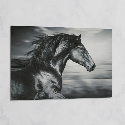 Black and White Running Horse Canvas on gallery wrap
