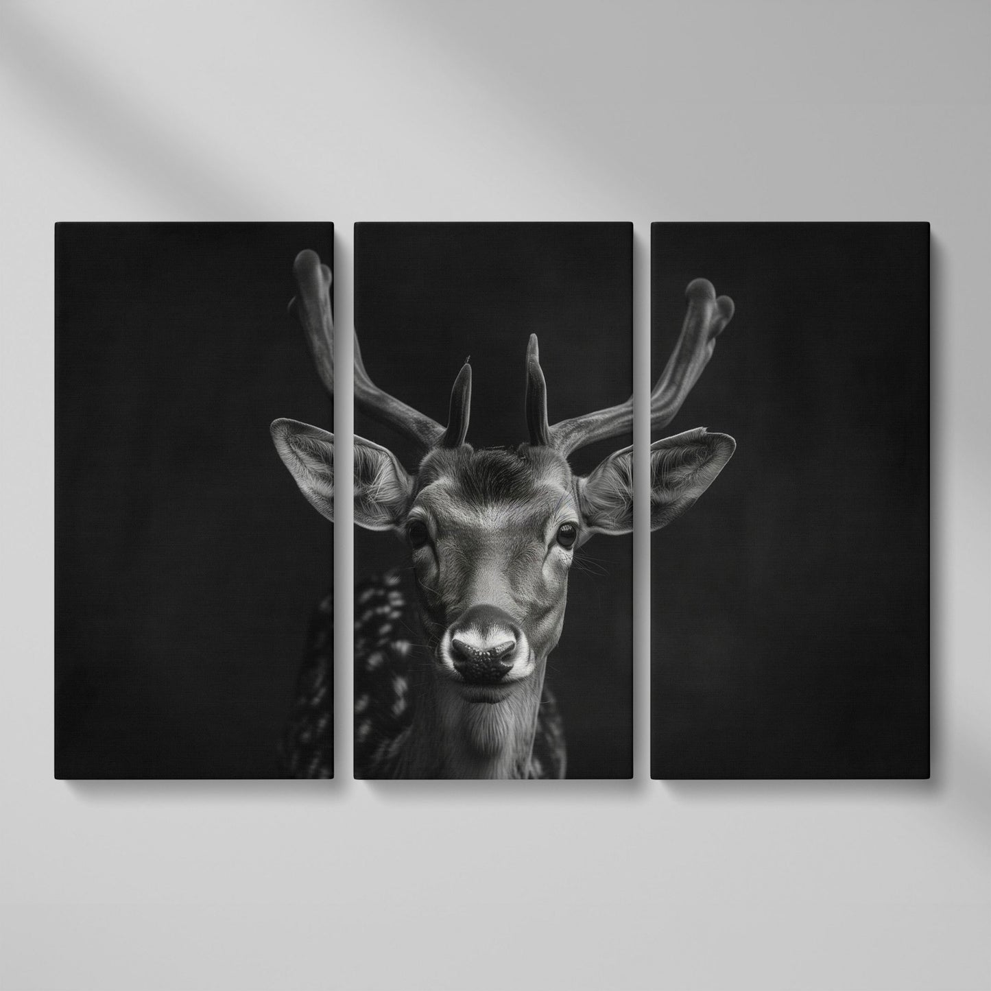 Fawn Portrait Black and White Canvas Print as 3-panel split version