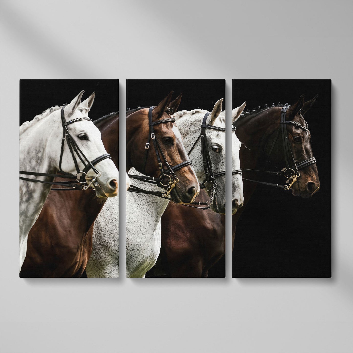 Four Horses in Sepia Canvas Print as 3-panel split version