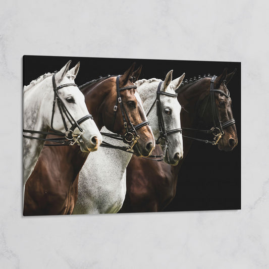 Four Horses in Sepia Canvas Print on gallery wrap