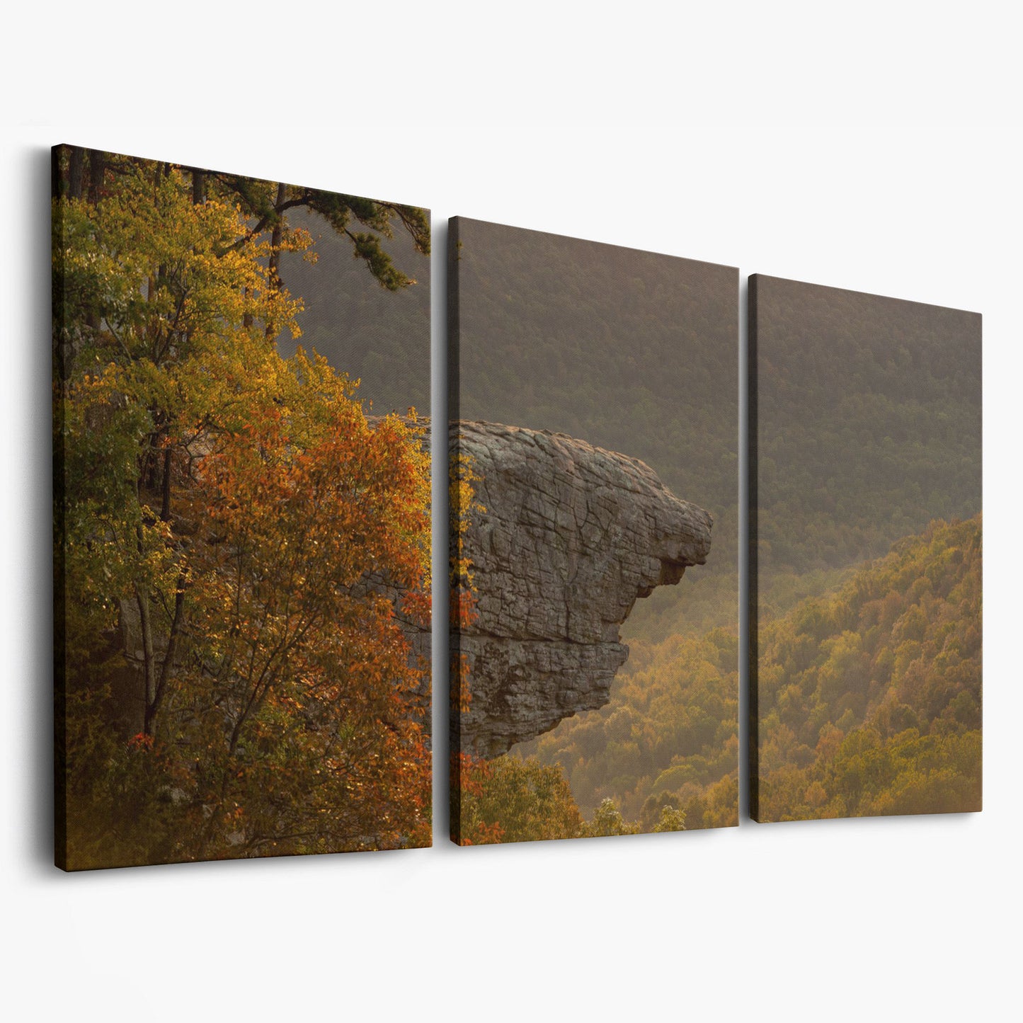 Ozark National Forest Sunrise Canvas as 3-panel split version
