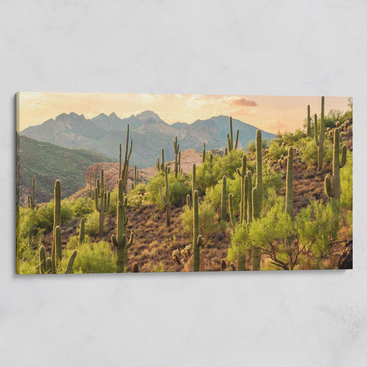 Bulldog Canyon Desert Cactus Canvas on gallery wrap