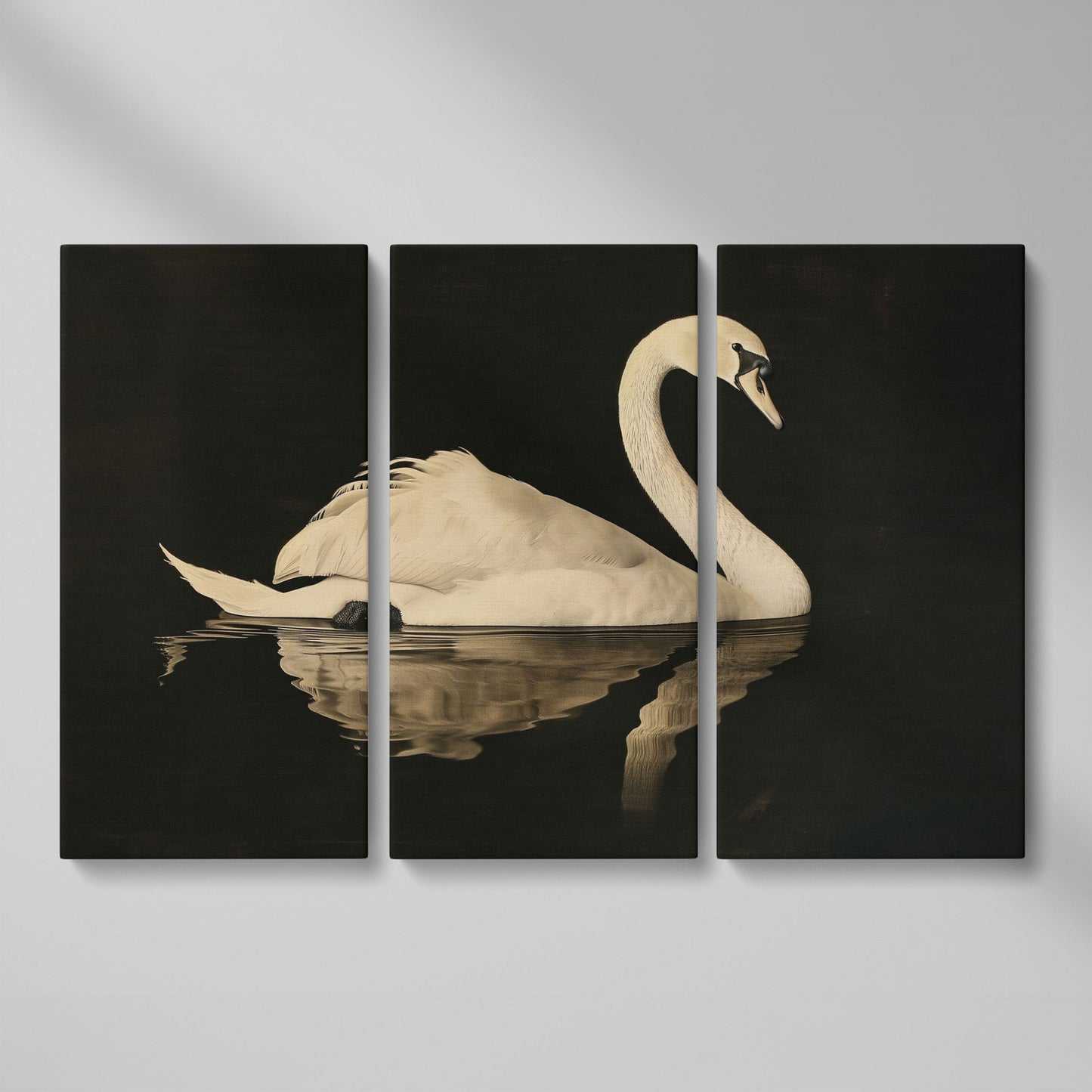 Swan with Water Reflection Canvas Print as 3-panel split version