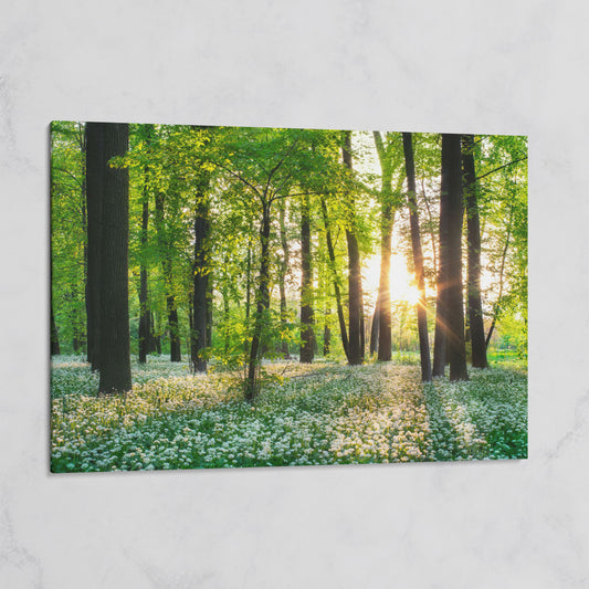 Sunny Forest Sunset with Wildflowers Canvas on gallery wrap