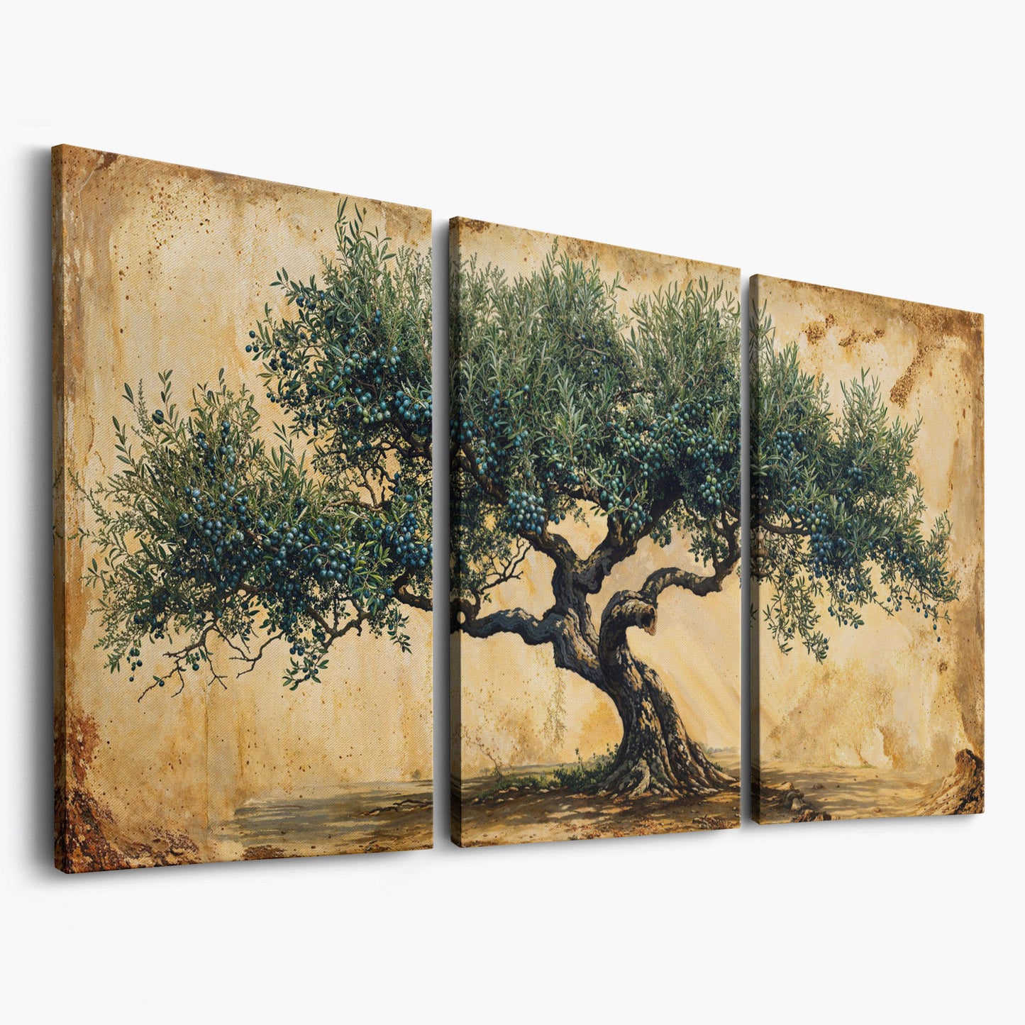 Ancient Olive Tree Canvas Wall Art as 3-panel split version