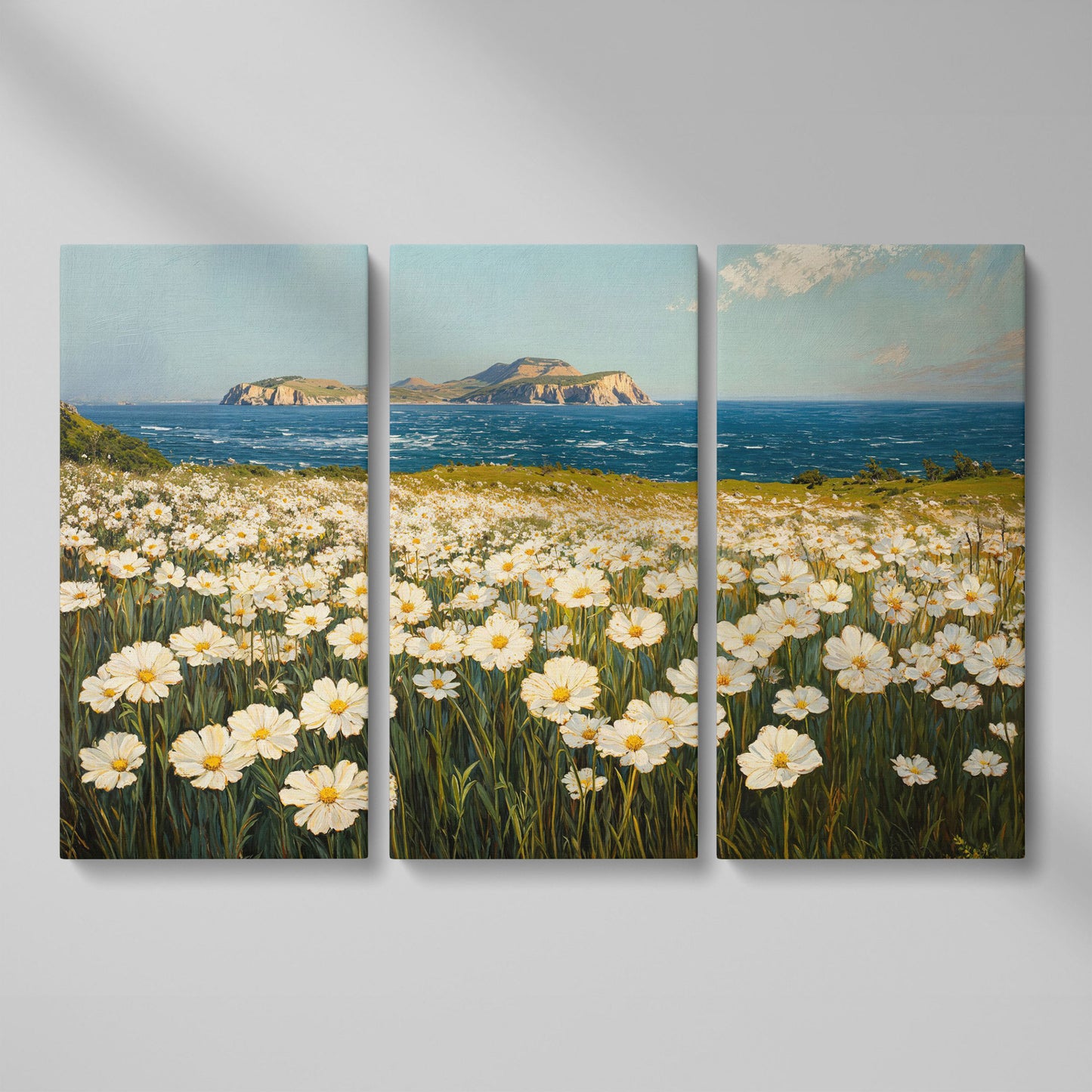 Serene Daisy Field Coastal Canvas as 3-panel split version