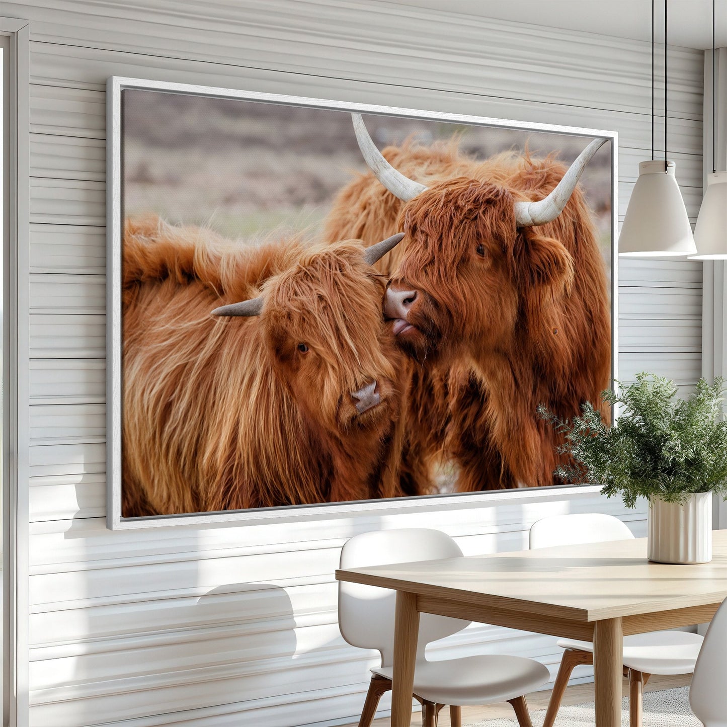 Scottish Highlanders Rustic Canvas Print for Farmhouse Decor