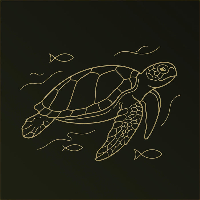Turtle Canvas