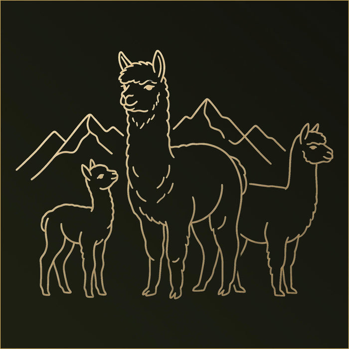 Alpaca Canvas