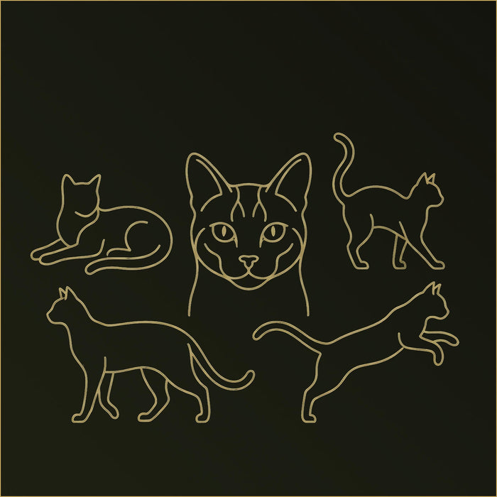 Cat Canvas