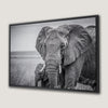 Family African Elephants in Grass Canvas Print Decor