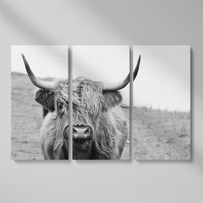 Highland Cow Canvas Wall Art, Shaggy Hairy Coo Close-Up Portrait as 3-panel split version