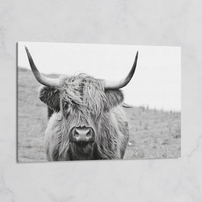 Highland Cow Canvas Wall Art, Shaggy Hairy Coo Close-Up Portrait on gallery wrap