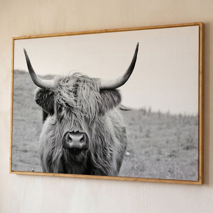 Highland Cow Canvas Wall Art, Shaggy Hairy Coo Close-Up Portrait shown in white oak floating frame
