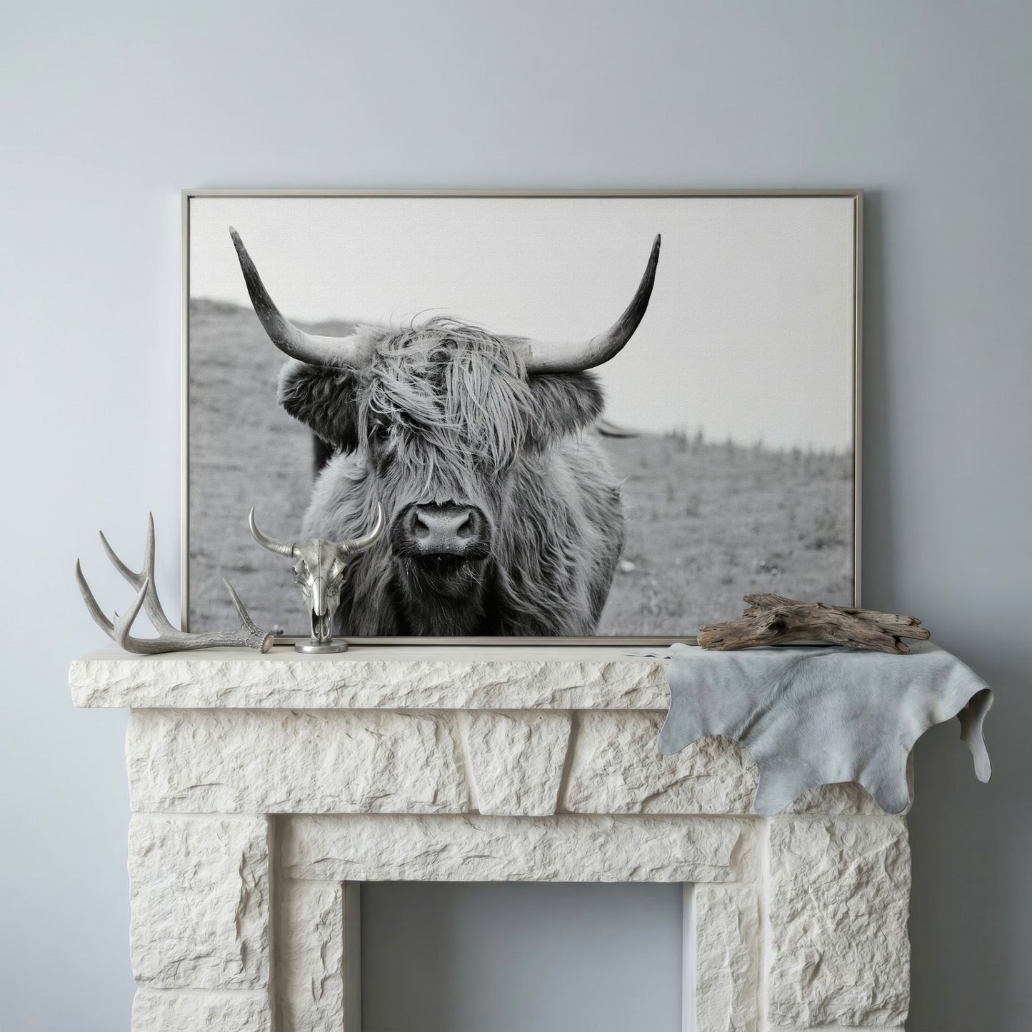 Highland Cow Canvas Wall Art, Shaggy Hairy Coo Close-Up Portrait in silver floating frame