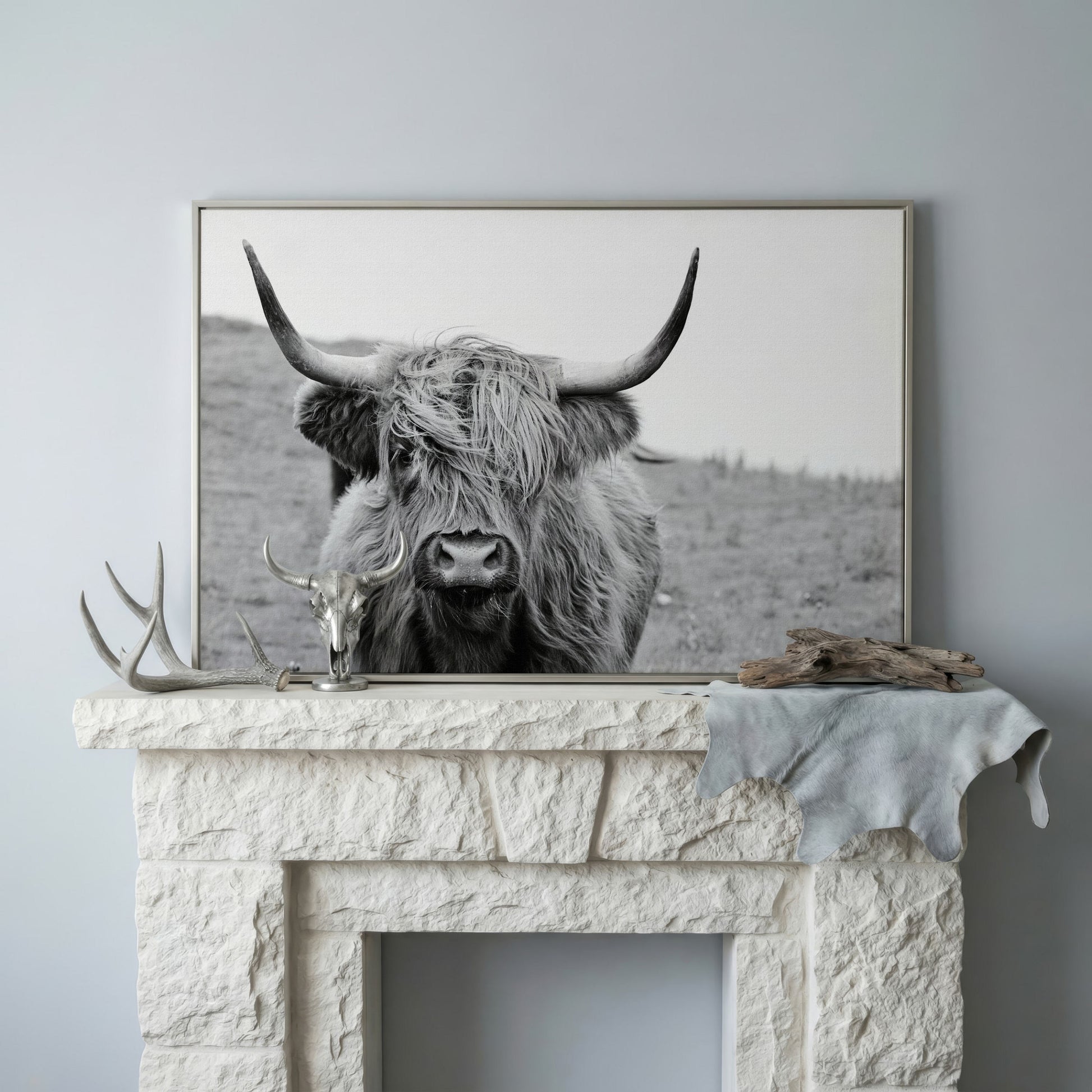 Highland Cow Canvas Wall Art, Shaggy Hairy Coo Close-Up Portrait in silver floating frame