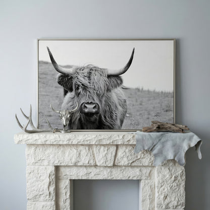 Highland Cow Canvas Wall Art, Shaggy Hairy Coo Close-Up Portrait in silver floating frame