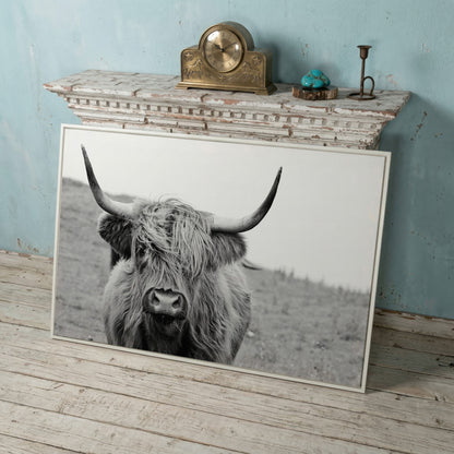 Highland Cow Canvas Wall Art, Shaggy Hairy Coo Close-Up Portrait in white floating frame