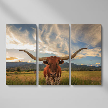 Texas Longhorn Close-Up Portrait Canvas Wall Art as 3-panel split version