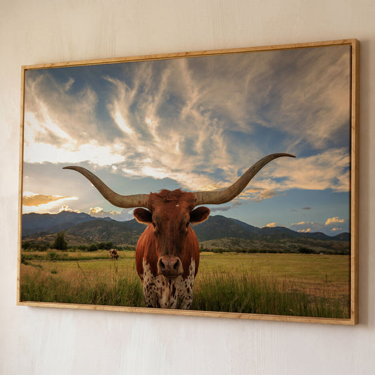 Texas Longhorn Close-Up Portrait Canvas Wall Art shown in white oak floating frame