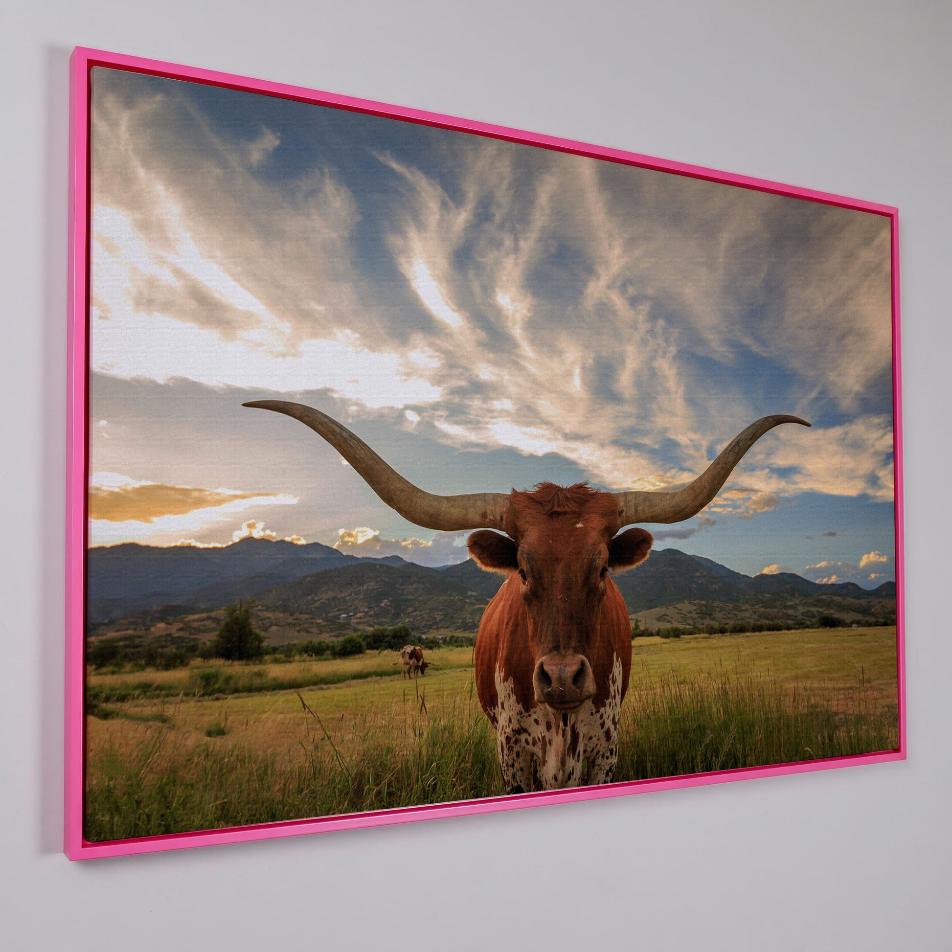Texas Longhorn Close-Up Portrait Canvas Wall Art in pink floating frame