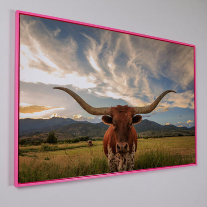 Texas Longhorn Close-Up Portrait Canvas Wall Art in pink floating frame