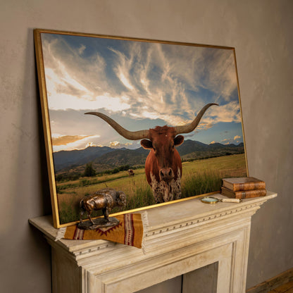 Texas Longhorn Close-Up Portrait Canvas Wall Art in rose gold floating frame