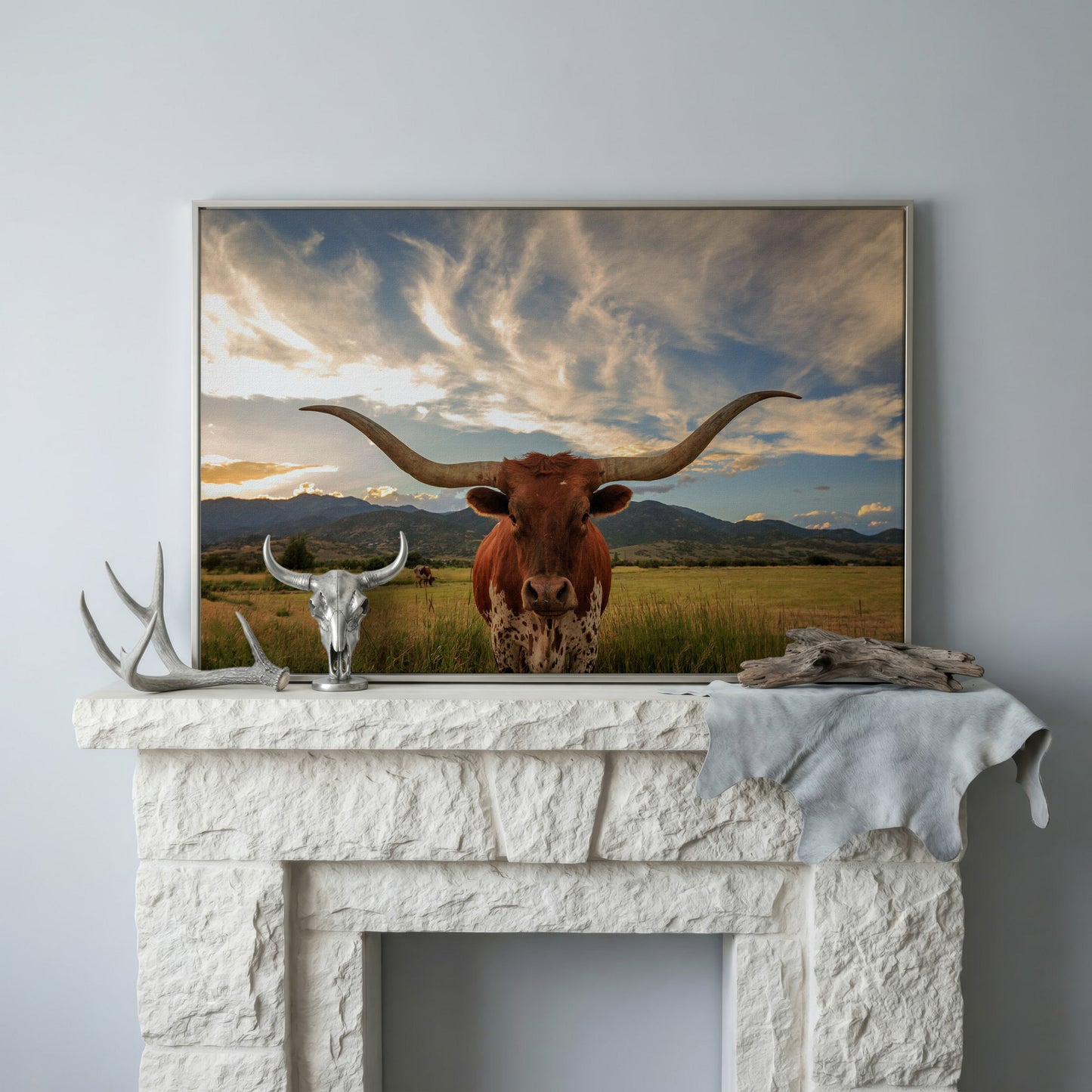 Texas Longhorn Close-Up Portrait Canvas Wall Art in silver floating frame