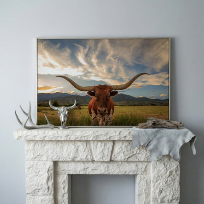 Texas Longhorn Close-Up Portrait Canvas Wall Art in silver floating frame
