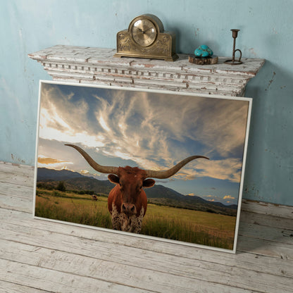 Texas Longhorn Close-Up Portrait Canvas Wall Art in white floating frame