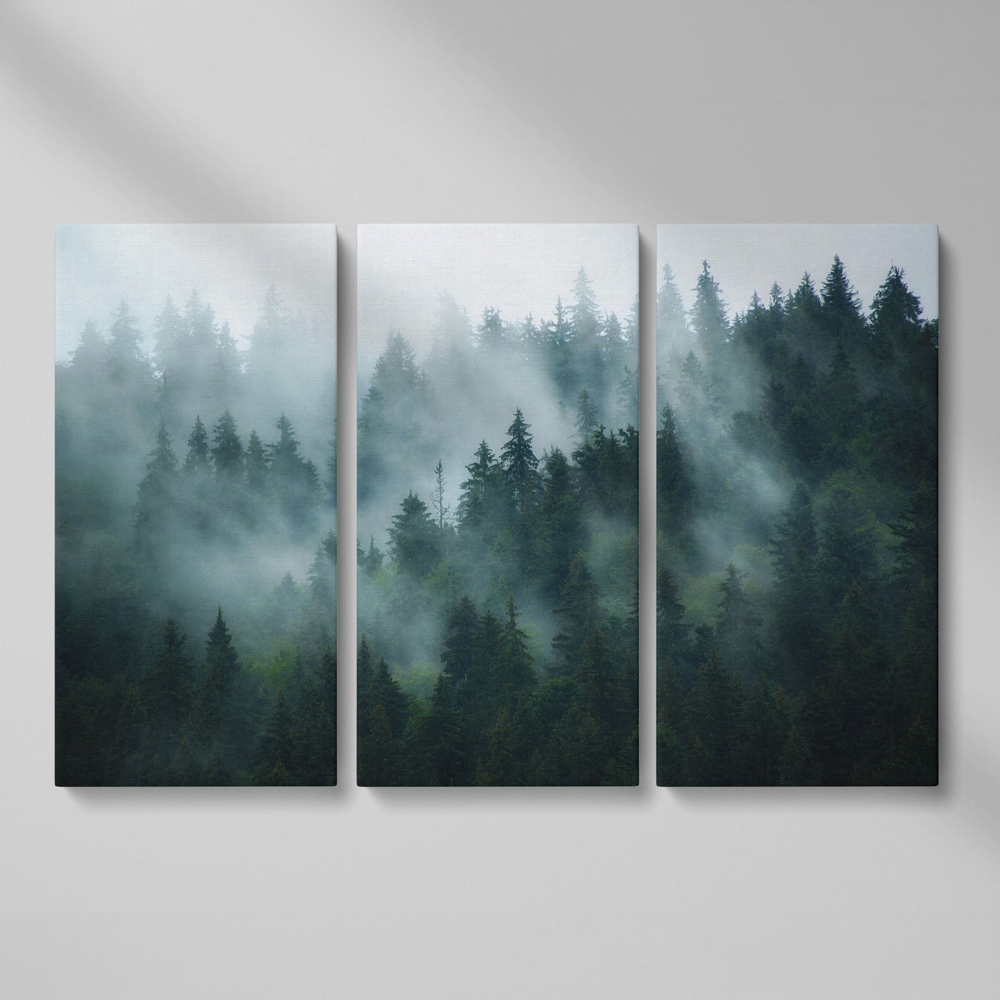 Misty Pine Forest Canvas Art, Fog Through Evergreens as 3-panel split version