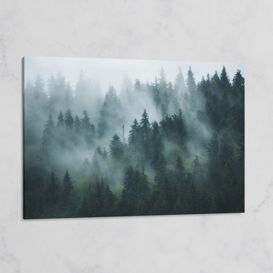 Misty Pine Forest Canvas Art, Fog Through Evergreens on gallery wrap
