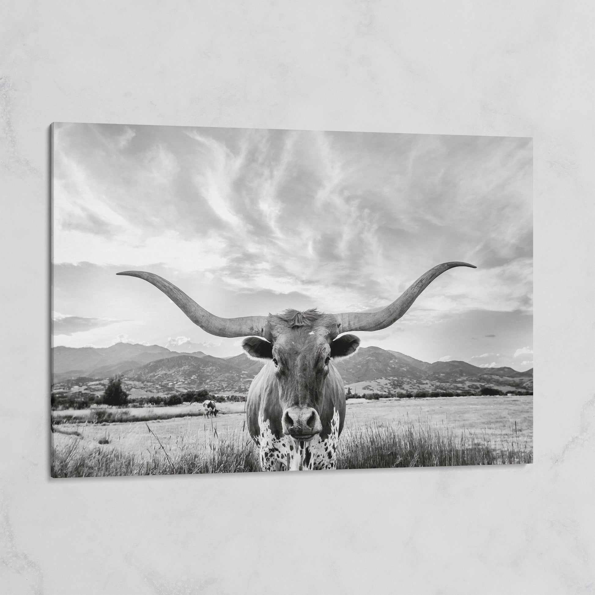 Texas Longhorn Portrait Canvas Wall Art, Mountain Sky Background on gallery wrap